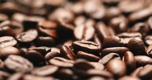 Fresh Roasted Coffee Beans Close Up Shot