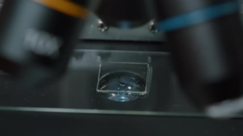 Microscope Analyzing Specimen in Laboratory