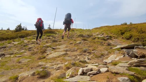 Hiking couple: two hikers (man and woman) walking together on the trail with backpacks