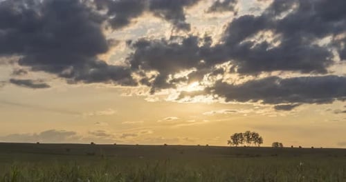 Flat Hill Meadow Timelapse at the Summer Sunset Time. Wild Nature and Rural Field. Sun Rays, Trees