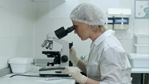 Scientist Using Microscope in Modern Laboratory