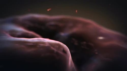 The model of a human brain on a dark background with floating particles.