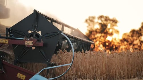 Wheat Harvest
