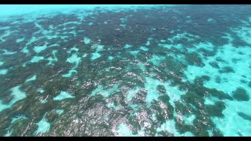 Aerial flying over scenery of relaxing tourist beach voyage by blue green water with white sandy bac