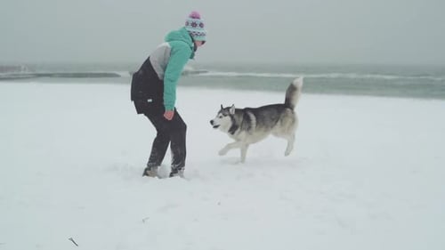 Young Female Playing and Runing with Siberian Husky Dog on the Beach at Snow Storm Slow Motion