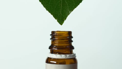 Drop Falling From Leaf Into Bottle, Organic Healthcare, Homeopathy, Macro Shot