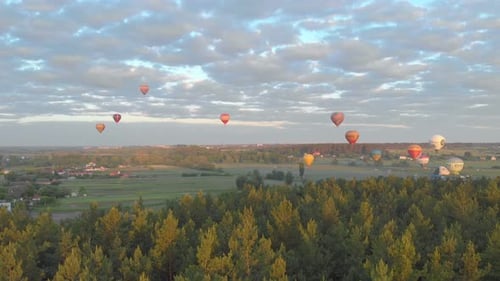 Flying Balloons Forest