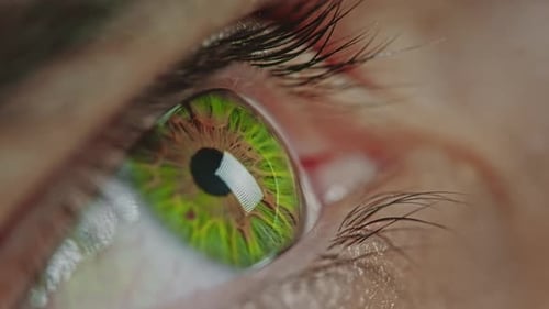 Eye (4K)