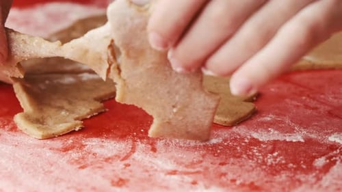 Child Making Christmas Tree Cookies at Home