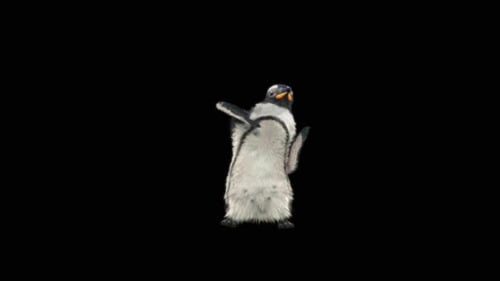 Pinguin tanzend HD