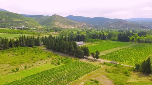 Drone view over large wine farm in Georgia