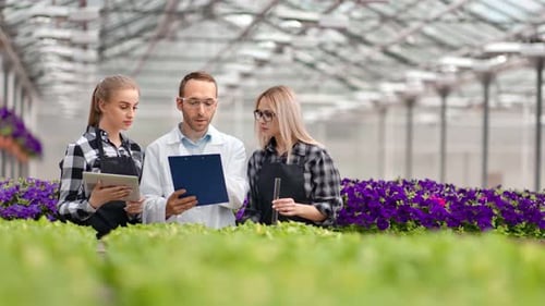 Researchers Inspecting Plant Growth in Greenhouse