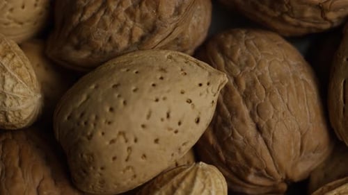 Macro Footage of Various Nuts in Shells