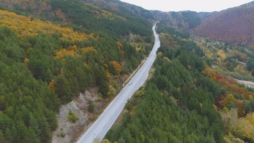 Aerial View of Car Speeding on Scenic Forest Road. Drone Chasing Car in the Mountains