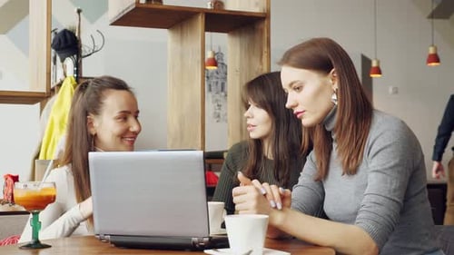 Colleagues Women Discuss Joint Project in Cafe in the Coworking Center Using a Laptop
