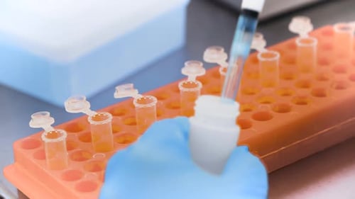 Scientist uses Pipette Filling Test Tubes in Laboratory