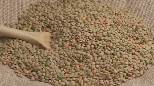 Dry legume lentils Mediterranean food, organic agriculture, healthy nutrition vegan vegetarian prote