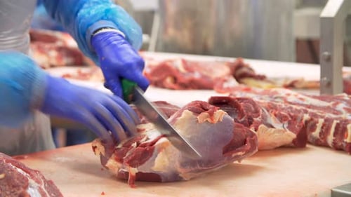 Meat Preparation at Food Processing Plant