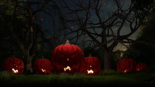 Spooky Jack-O'-Lanterns Glowing in an Eerie Halloween Forest Night