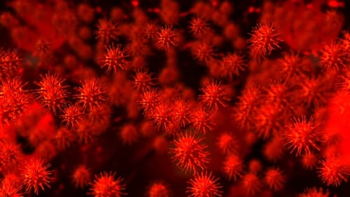 Animated Red Virus Cells Floating Macro Loop