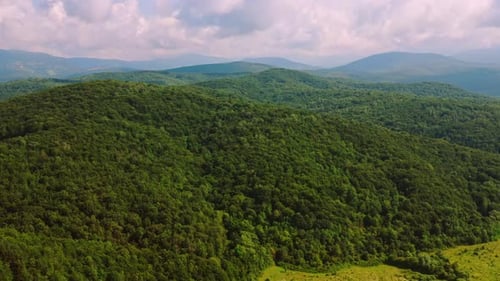 Nature View Highland in Spring Season