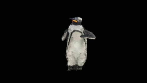 63 Samba: Tanzen HD