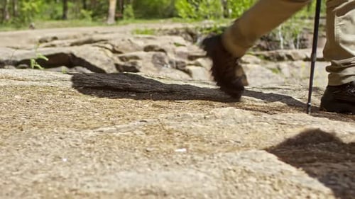 Adults Hiking on Rocky Trail in Forested Area