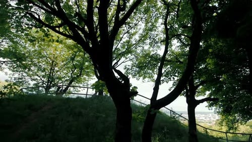 Silhouette of a Fast Running Athlete in the Park