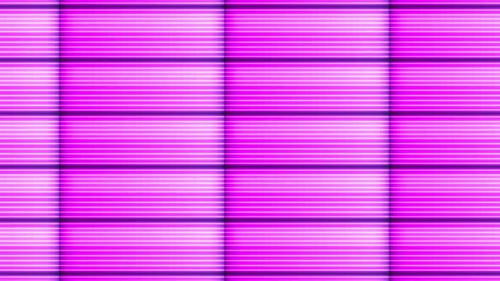 Neon Pink Glowing Grid Lines Background Loop