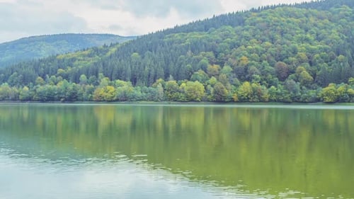 Forest Lake and Cloudiness