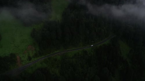 Mountain Forest Road Car