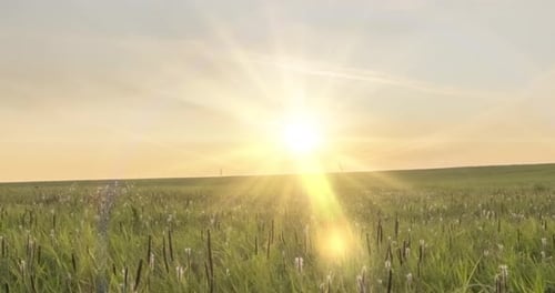 Hill Meadow Timelapse at the Summer or Autumn Time. Wild Endless Nature and Rural Field. Sun Rays