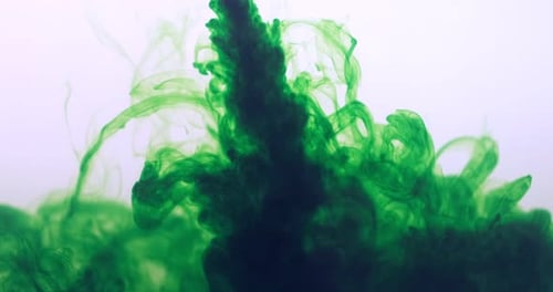 Green Color Paint Ink Drops in Water at White Background. Inky Cloud Flowing Underwater. Abstract