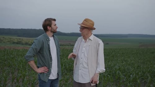 Farmers Discussing Crops in Green Field