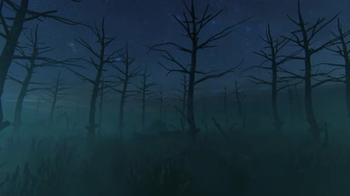 Scary Forest 4K