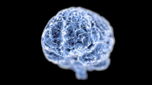 Abstract Human Brain Scan with Neural Activity and Rotation