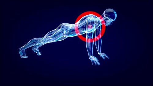 Futuristic 3D Human Anatomy Muscles During Push-Up Exercise