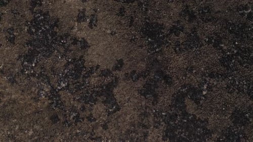 Abstract Texture Close Up Static Shot