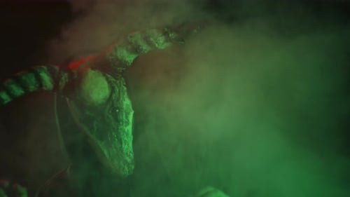 Mysterious Figure in Horned Mask and Hooded Robe