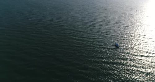 Aerial view of speed boats on the sea near beach city