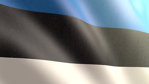 Realistic Estonia Flag Waving Seamless Loop Animation