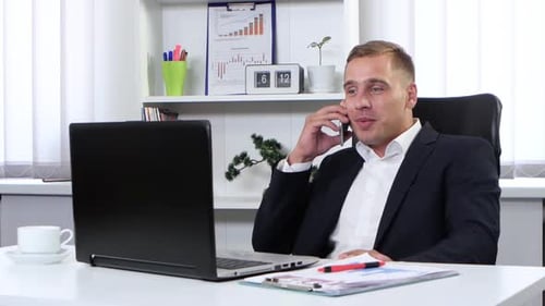 Businessman Talking on Phone in His Office and Smiling