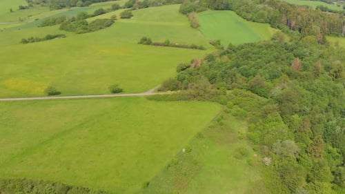 Green Fields and Trees in Rural Landscape