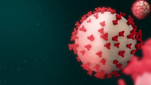 3D Animated Medical Virus Cell Rotation