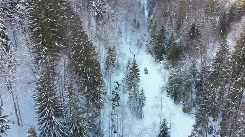 Aerial View on Car Riding on Snowy Road in a Winter Coniferous Forest