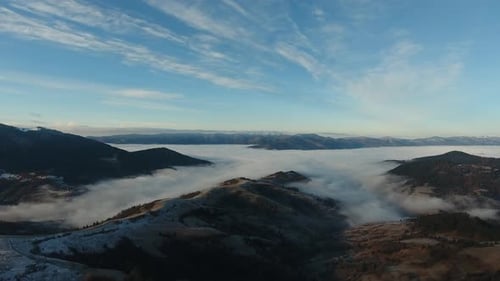 Foggy Green Pine Forest with Canopies of Spruce Trees and Sunrise Rays Shining Through Branches in