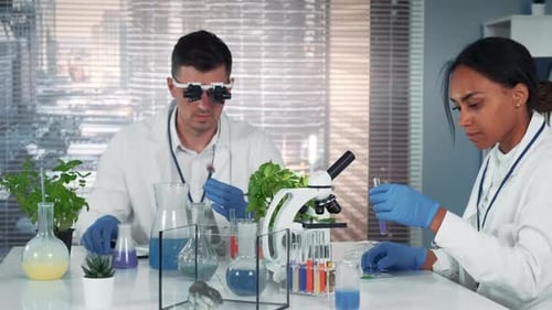Scientists Conducting Plant Research in Modern Laboratory