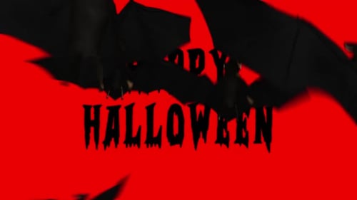 Spooky Halloween Bat Text Reveal Transition