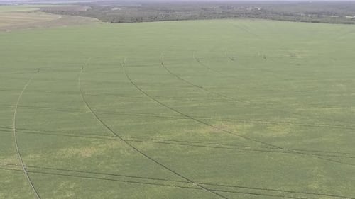 Aerial View of Expansive Green Farm Fields
