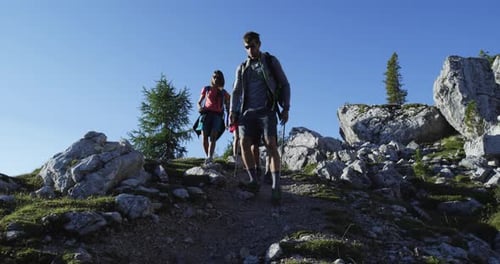 Four Friends Walking Along Hiking Trail Path